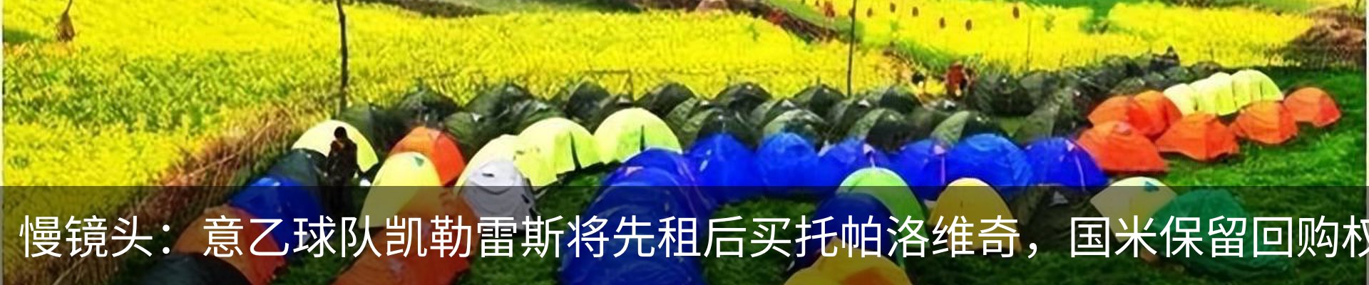新闻动态