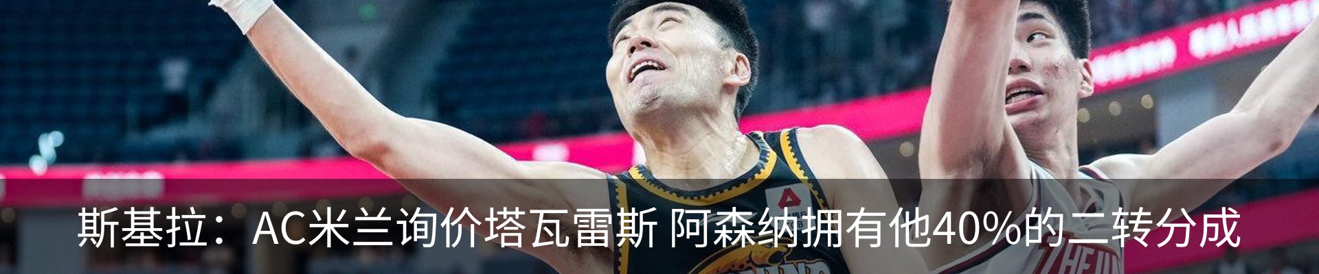 新闻动态