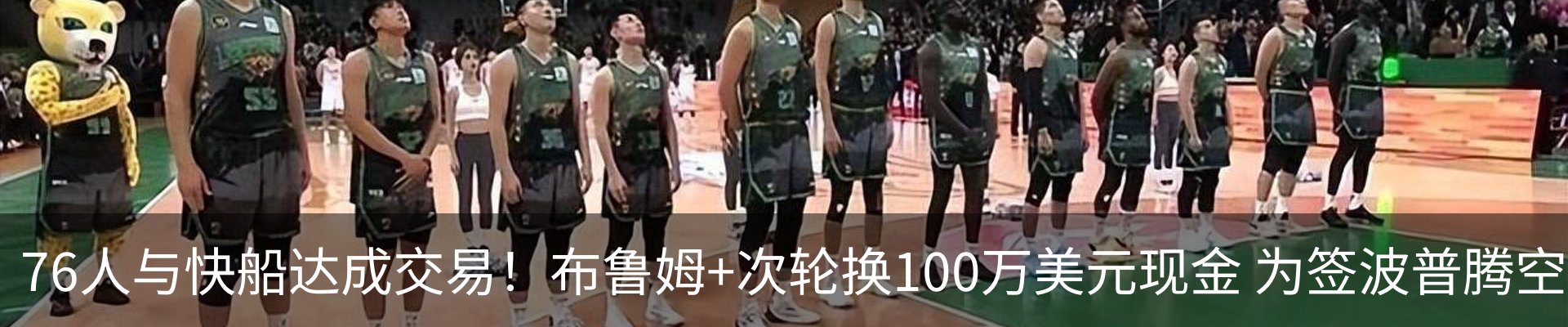 新闻动态